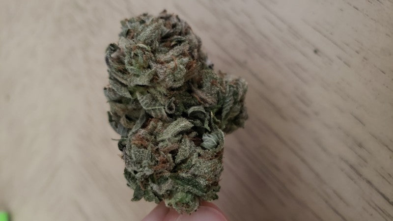Wedding Cake Hybrid - Popcorn Buds Cannabis 3g | Dis-can Johannesburg - image 38