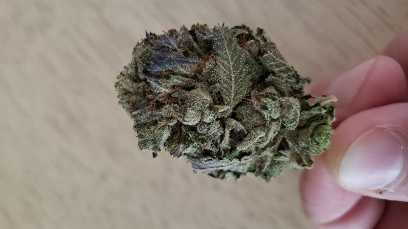 Wedding Cake Hybrid - Popcorn Buds Cannabis 3g | Dis-can Johannesburg - image 39