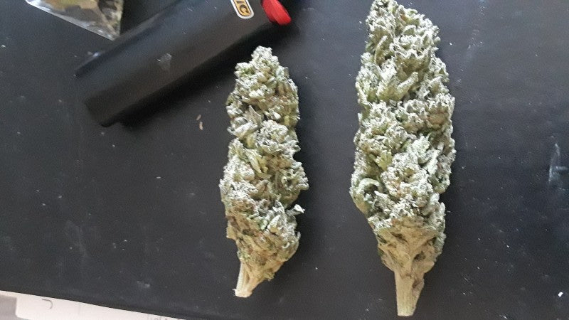 Wedding Cake Hybrid - Popcorn Buds Cannabis 3g | Dis-can Johannesburg - image 40