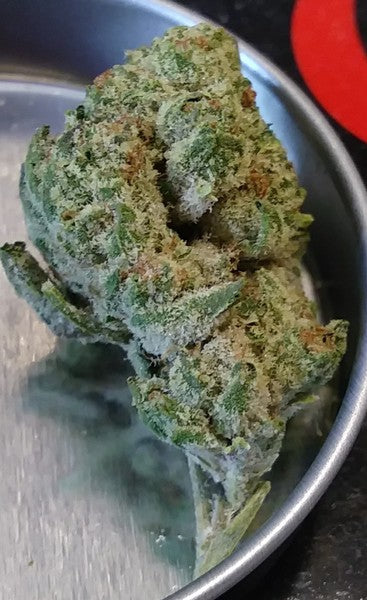 Wedding Cake Hybrid - Popcorn Buds Cannabis 3g | Dis-can Johannesburg - image 46