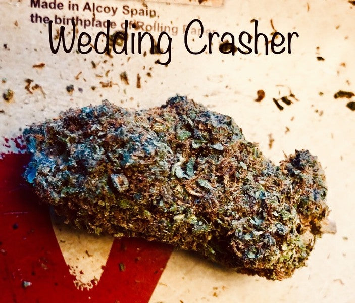 Wedding Cake Hybrid - Popcorn Buds Cannabis 3g | Dis-can Johannesburg - image 49