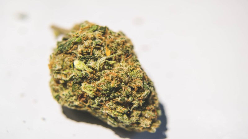 WiFi OG Hybrid - Tunnel Cannabis 1g | Dis-can Johannesburg - image 1