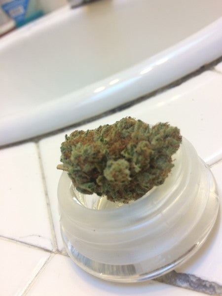 WiFi OG Hybrid - Tunnel Cannabis 1g | Dis-can Johannesburg - image 3
