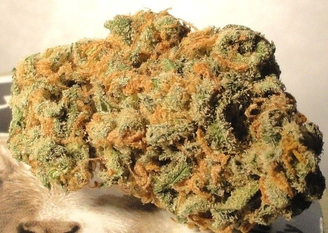WiFi OG Hybrid - Tunnel Cannabis 1g | Dis-can Johannesburg