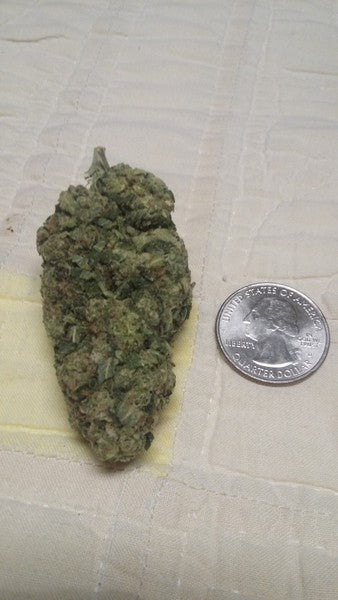 WiFi OG Hybrid - Tunnel Cannabis 1g | Dis-can Johannesburg - image 5