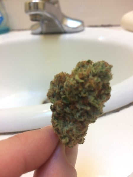 WiFi OG Hybrid - Tunnel Cannabis 1g | Dis-can Johannesburg - image 6