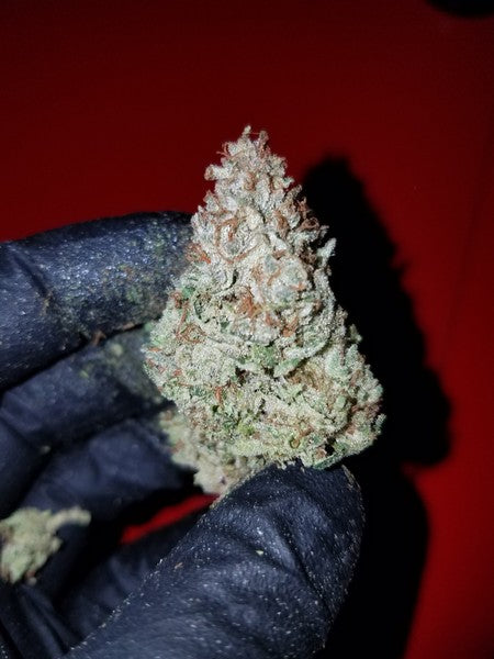 WiFi OG Hybrid - Tunnel Cannabis 1g | Dis-can Johannesburg