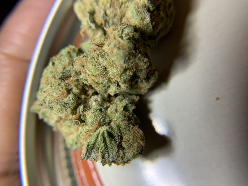 Zombie Kush Indica - Indoor AAA Cannabis 20g | Johannesburg | Dis-can - image 3