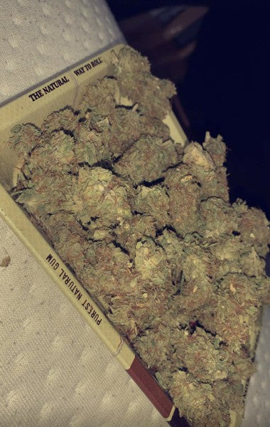 Zombie Kush Indica - Indoor AAA Cannabis 20g | Johannesburg | Dis-can - image 4