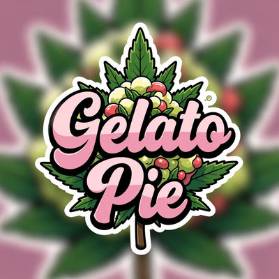 Gelato Pie Hybrid - Indoor AAA Cannabis 1g | Dis-can Johannesburg