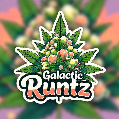 Galactic Runtz Hybrid - Indoor AAA Cannabis 10g | Dis-can Johannesburg - Image 1