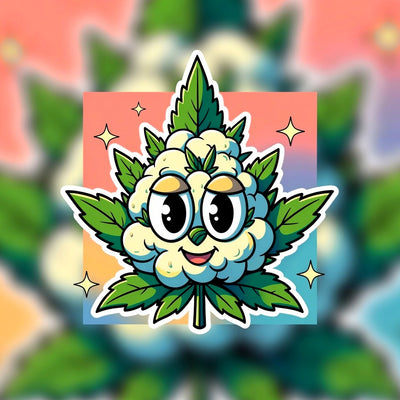 Indoor B-Grade Pre-Roll | Premium Cannabis Pre-Roll | Dis-can Johannesburg - Image 1