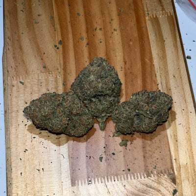 Jack Herer 5A Hybrid - Indoor Premium Cannabis 50g | Dis-can Johannesburg