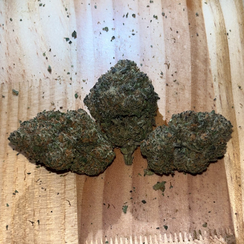 Jack Herer 5A Hybrid - Indoor Premium Cannabis 1g | Dis-can Johannesburg