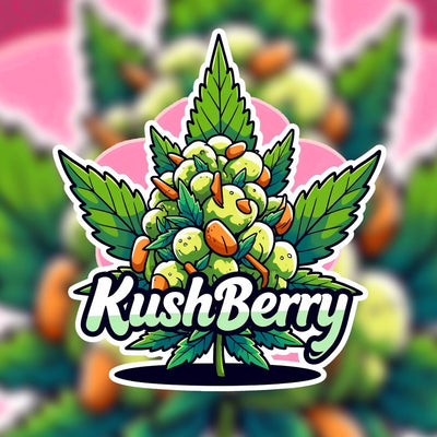 Kush Berry Hybrid - Tunnel Cannabis 3g | Dis-can Johannesburg - Image 1