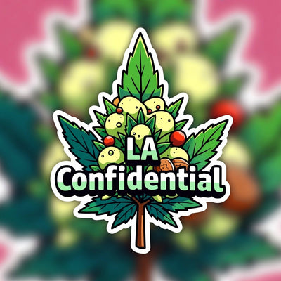 LA Confidential Indica - Popcorn Buds Cannabis 1g | Johannesburg | Dis-can - Image 1