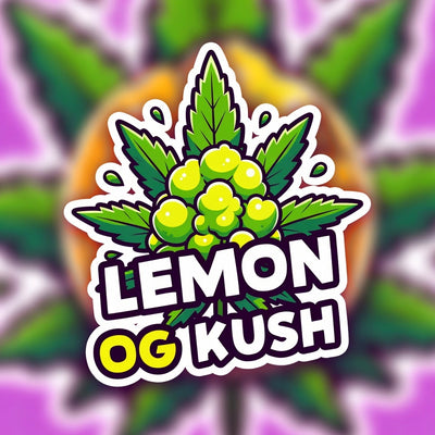 Lemon OG Kush Indica - Indoor AAA Cannabis 20g | Johannesburg | Dis-can - Image 1