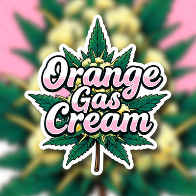 Orange Gas Cream Hybrid - Indoor AAA Cannabis 1g | Dis-can Johannesburg - Image 1