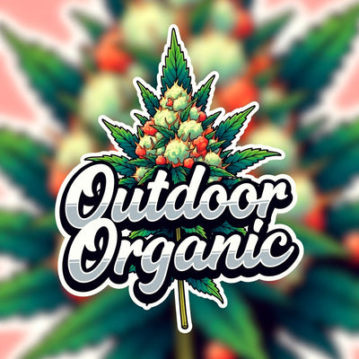 Outdoor Organic Hybrid - Outdoor Organic Cannabis 5g | Dis-can Johannesburg - Image 1