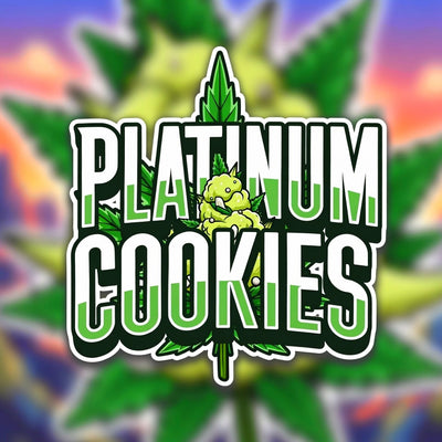 Platinum Cookies Hybrid - Greenhouse Cannabis 10g | Dis-can Johannesburg - Image 1