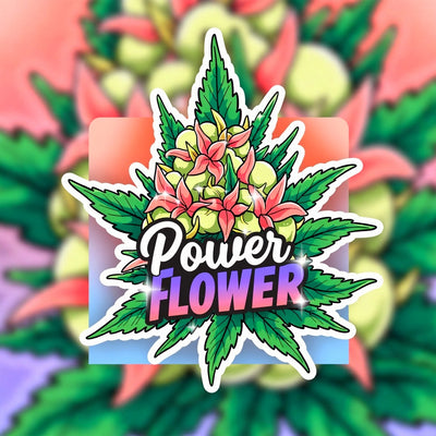 Power Flower Hybrid - Popcorn Buds Cannabis 3g | Dis-can Johannesburg - Image 1