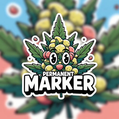 Permanent Marker Hybrid - Indoor AAA Cannabis 20g | Dis-can Johannesburg