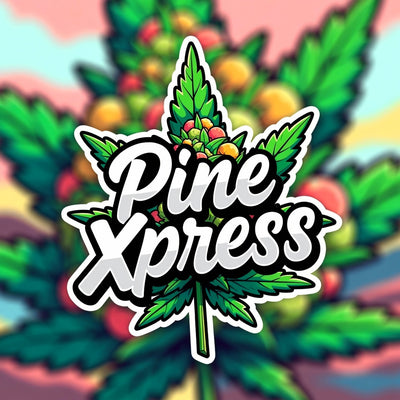 Pine Xpress Hybrid - Greenhouse Cannabis 10g | Dis-can Johannesburg - Image 1