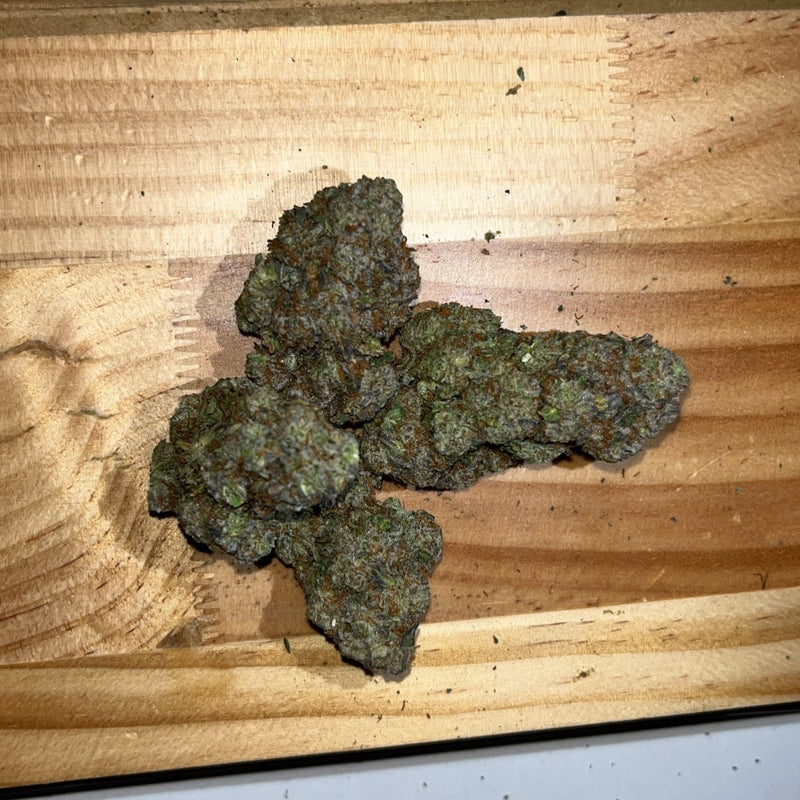 Project Zoap 6A+ Hybrid - Indoor Premium Cannabis 50g | Dis-can Johannesburg
