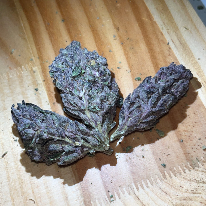 Purple Punch AAA Hybrid - Tunnel Cannabis 1g | Dis-can Johannesburg