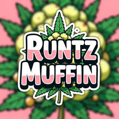 Runtz Muffin Hybrid - Popcorn Buds Cannabis 3g | Dis-can Johannesburg - Image 1
