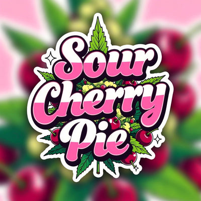 Sour Cherry Pie Hybrid - Popcorn Buds Cannabis 1g | Dis-can Johannesburg - Image 1