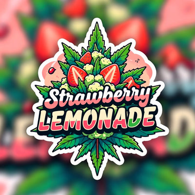 Strawberry Lemonade Hybrid - Indoor AAA Cannabis 20g | Dis-can Johannesburg - Image 1
