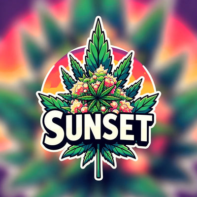 Sunset Hybrid - Tunnel Cannabis 1g | Dis-can Johannesburg - Image 1