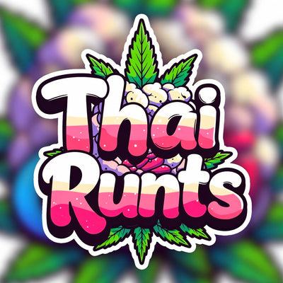 Thai Runts Hybrid - Indoor AAA Cannabis 20g | Dis-can Johannesburg - Image 1