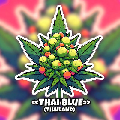 Thai Blue (Thailand) Hybrid - Indoor AAA Cannabis 20g | Dis-can Johannesburg