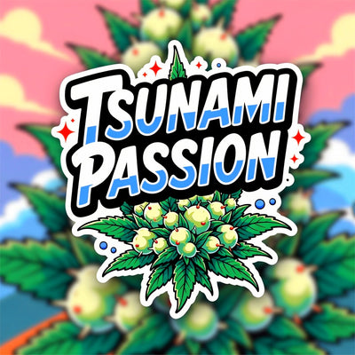 Tsunami Passion Hybrid - Indoor AAA Cannabis 10g | Dis-can Johannesburg - Image 1