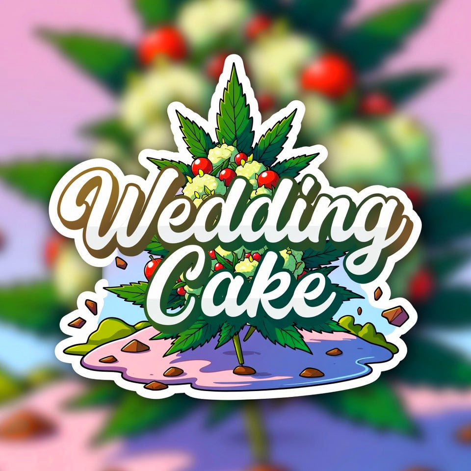 Wedding Cake Hybrid - Popcorn Buds Cannabis 3g | Dis-can Johannesburg - Image 1