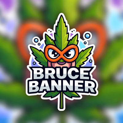 Bruce Banner Hybrid - Tunnel Cannabis 1g | Dis-can Johannesburg - Image 1
