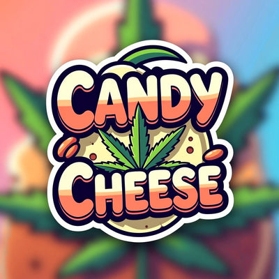 Candy Cheese Hybrid - Indoor Premium Cannabis 3g | Dis-can Johannesburg - Image 1