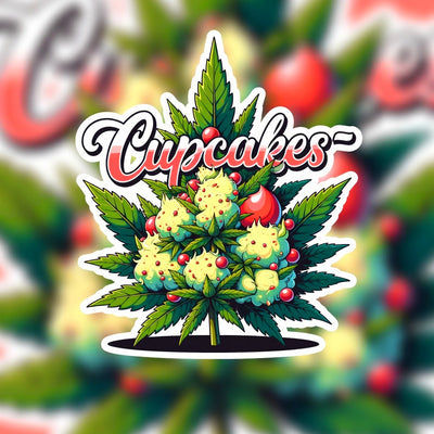 Cupcakes Hybrid - Indoor AAA Cannabis 10g | Dis-can Johannesburg - Image 1