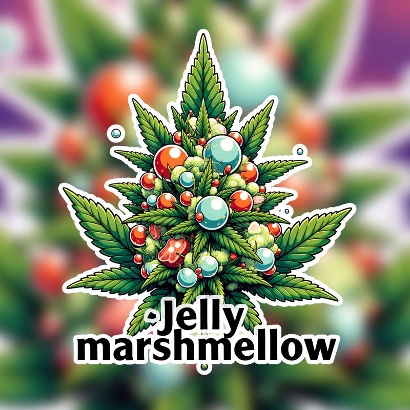 Jelly Marshmallow Hybrid - Indoor AAA Cannabis 10g | Dis-can Johannesburg