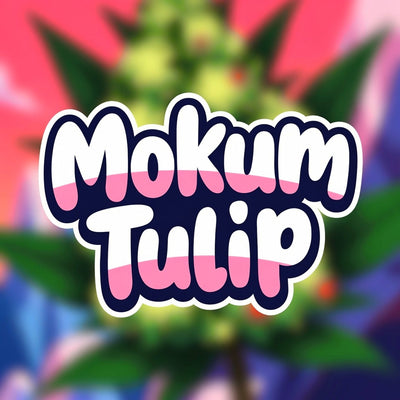 Mokum Tulip Hybrid - Tunnel Cannabis 3g | Dis-can Johannesburg - Image 1