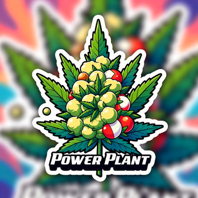 Power Plant Sativa - Indoor AAA Cannabis 20g | Johannesburg | Dis-can