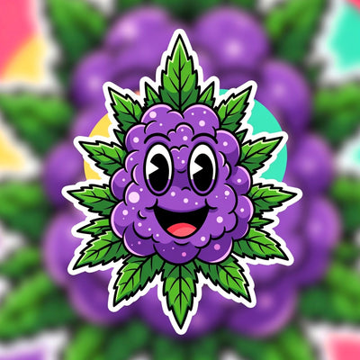 Purple Haze OCD Indica - Indoor AAA Cannabis 20g | Johannesburg | Dis-can - Image 1