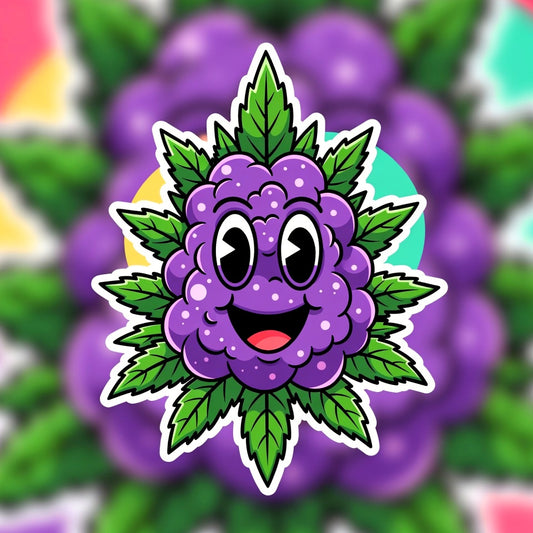 Purple Haze OCD Indica - Indoor AAA Cannabis 20g | Johannesburg | Dis-can - Image 1