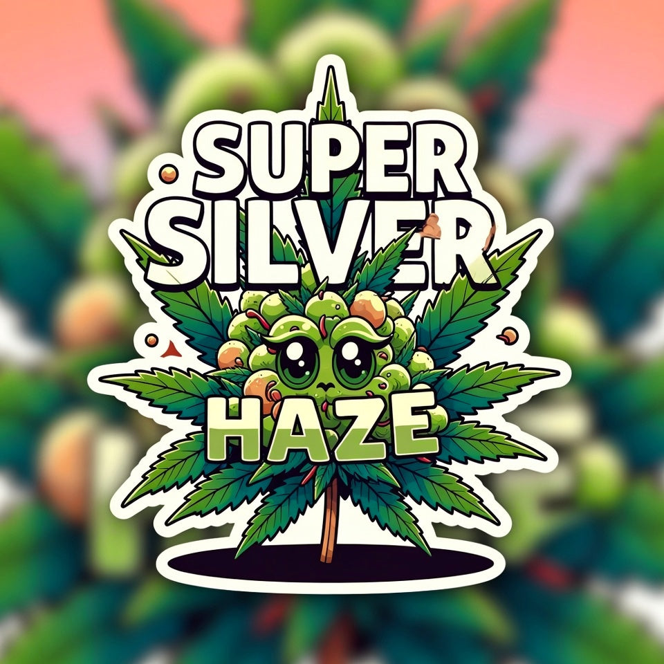 Super Silver Haze Sativa - Greenhouse Cannabis 10g | Johannesburg | Dis-can